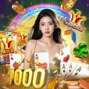 Sport bet net