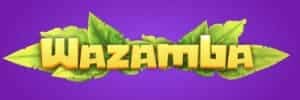 Bonanza Blast